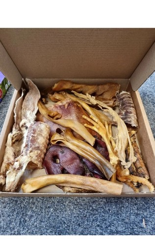 Large natural dog - , treats