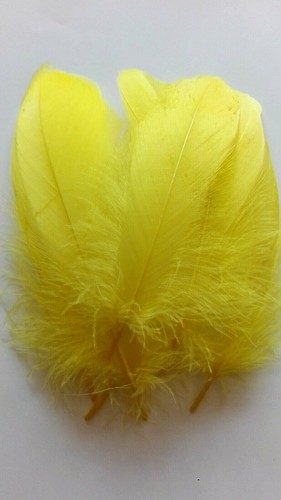 Pack goose shoulder - goose,
