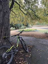 Giant Anthem large 2018 - 27.5