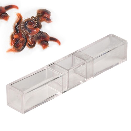 Flatworm trap planaria catch - planaria,