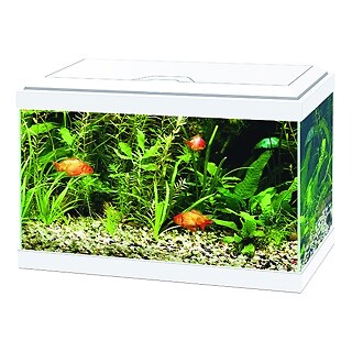 Ciano aqua aquarium with - aqua, 20