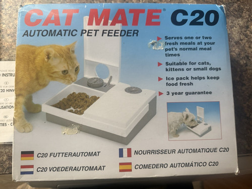 Cat small dog - cat/small,