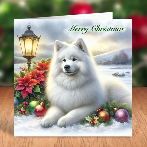 Samoyed dog christmas card - christmas,