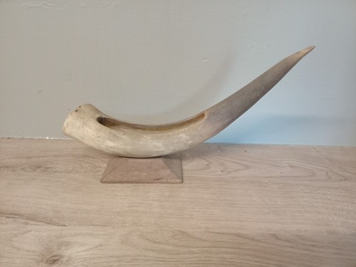 Large vintage cow bull horn - large,