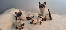  Siamese Cats With Glass Blue