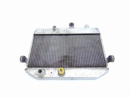 Radiator water suzuki - radiator, burgman