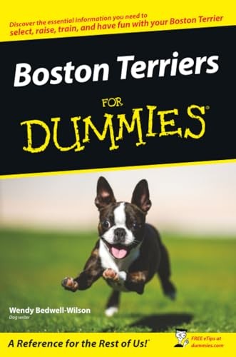 Boston terriers for - terriers, dummies
