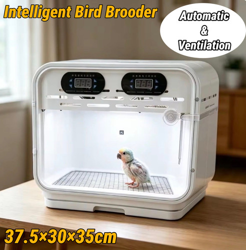 Intelligent bird brooder - intelligent,