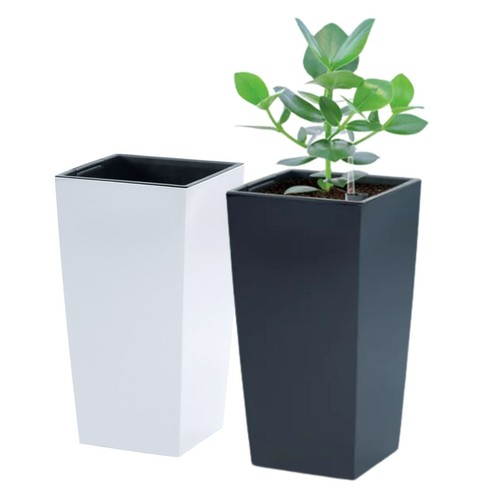Tall planter plant pot flower - plant,