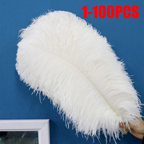 100pack 30cm large - 25-30cm,