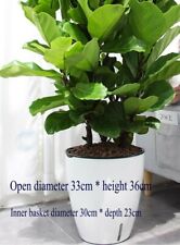 BIG Self-Watering Plastic