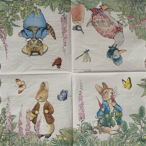 Peter rabbit single paper - 2,