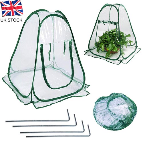 Mini greenhouse popped - mini,