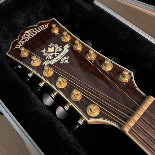 Washburn cumberland string - washburn, 12