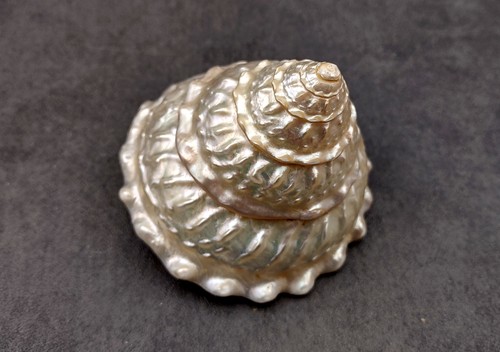 Pearlized wavy turban - pearlized,