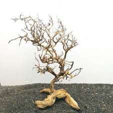 Driftwood Tree Aquarium Fish