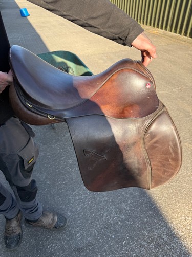 Falcon saddle brown - gp, m/w