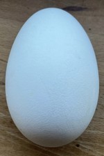 1 Goose Egg/ Goose Egg Blown