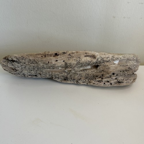 Unique driftwood piece - driftwood,