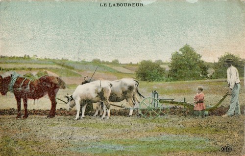 Labourer ploughman tilling - labourer-,