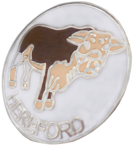 Hereford city small - hereford, pin
