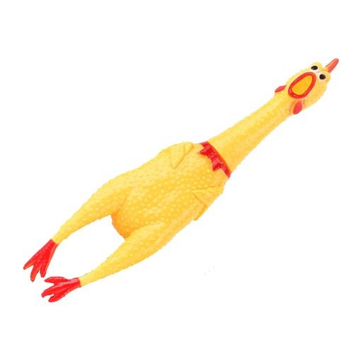 Squeak sound chicken - squeak,