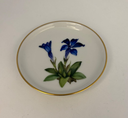Rosenthal hand painted - rosenthal,