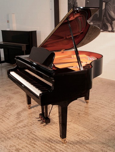 Yamaha gb1 baby - baby, |