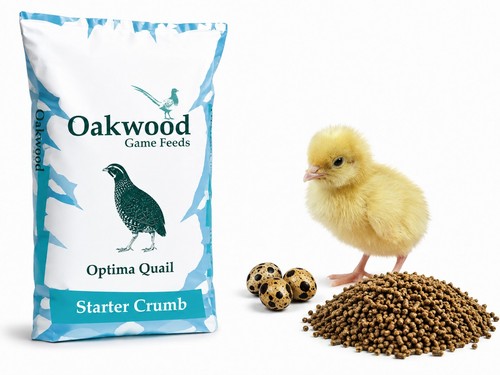5kg oakwood quail chick - oakwood,
