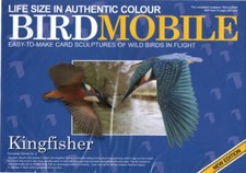 Card Model Kit of British Wild