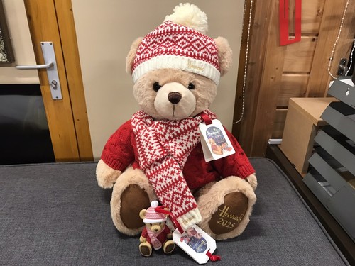 Harrods 2025 christmas - christmas, bear