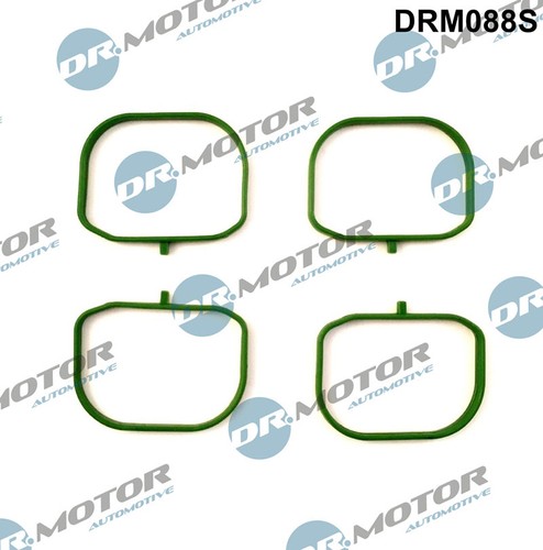 Fits motor drm088s seals - fits,