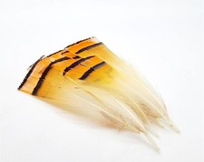 Golden Pheasant Tippets - Fly Tying Materials