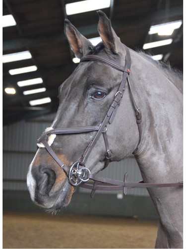 John whitaker ready - whitaker,