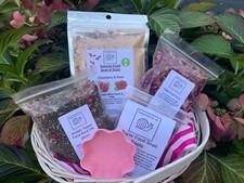 For Giant African Land Snails