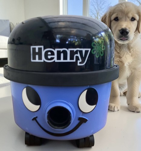 Henry hoover vac - henry, serviced
