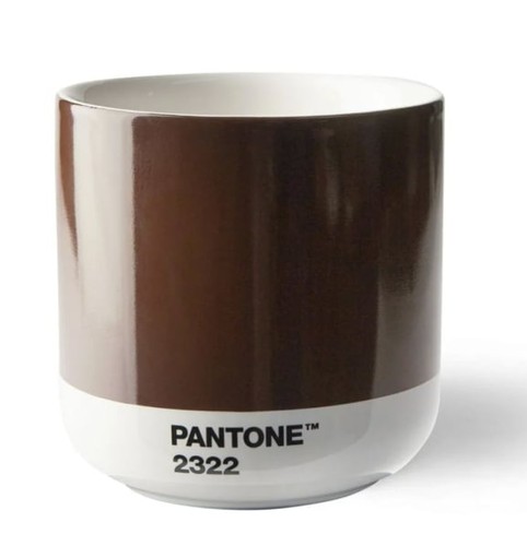 New pantone cortado - new, brown
