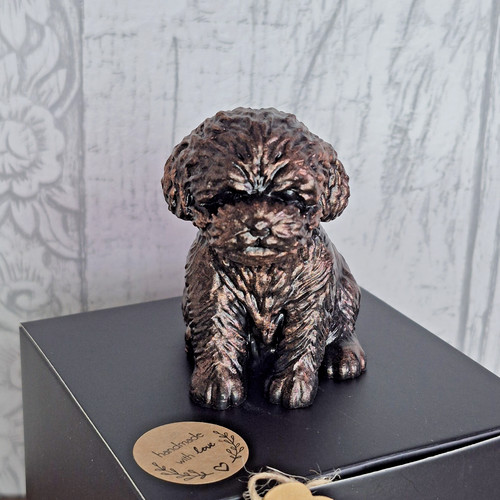 Teddy dog labradoodle style - dog,
