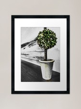 Topiary Framed Art Print
