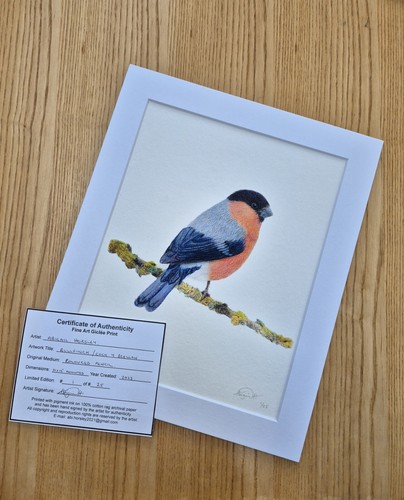 Bullfinch limited edition fine - bullfinch,