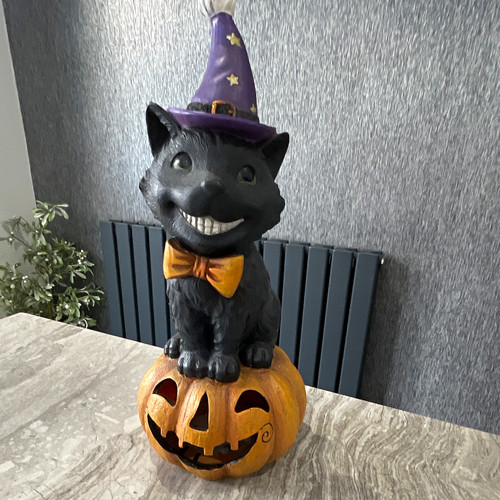 Halloween light black cat - halloween,