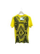 Borussia Dortmund Pre Match