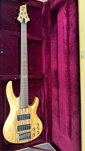 Esp ltd 205smfl - esp, 5-string