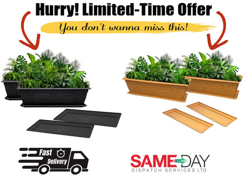 Trough plant pot 60cm - trough,