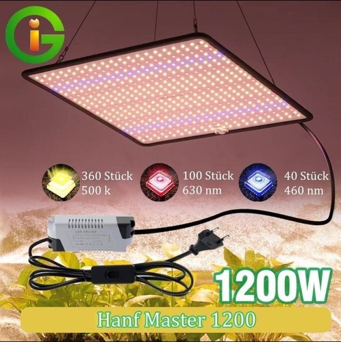 Greenhouse lamp cannabis - greenhouse, grow