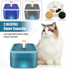 Electric LED Cat Dog Automatic