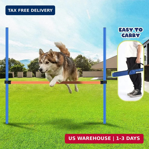 Pawise dog agility training - dog,