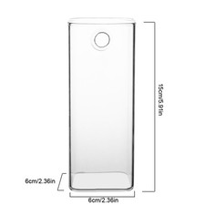 ›Hanging Plants Flowers