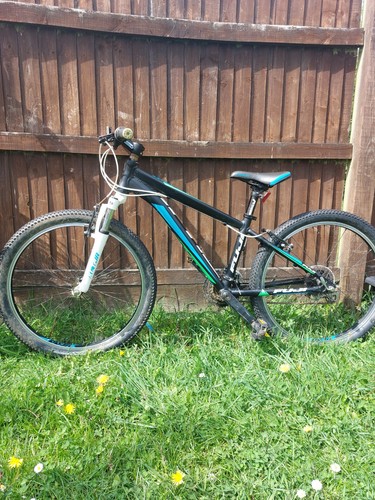 Mountain bike - mountain,