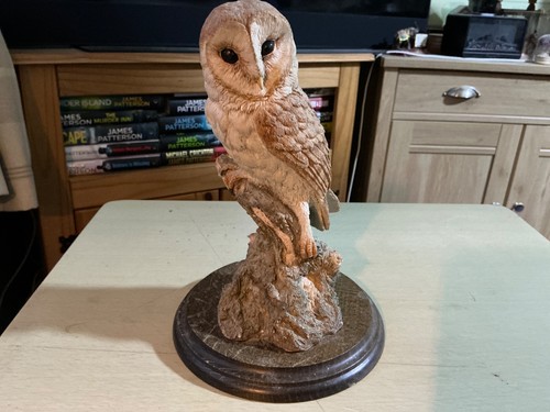 Country artist barn - barn, owl